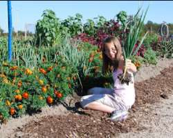 It openly welcomes a volunteer to participate in the work from planting to harvesting the products. Many school children actively participate in the a